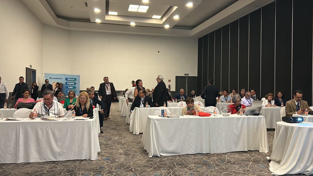 ASAMBLEA FENACOME 